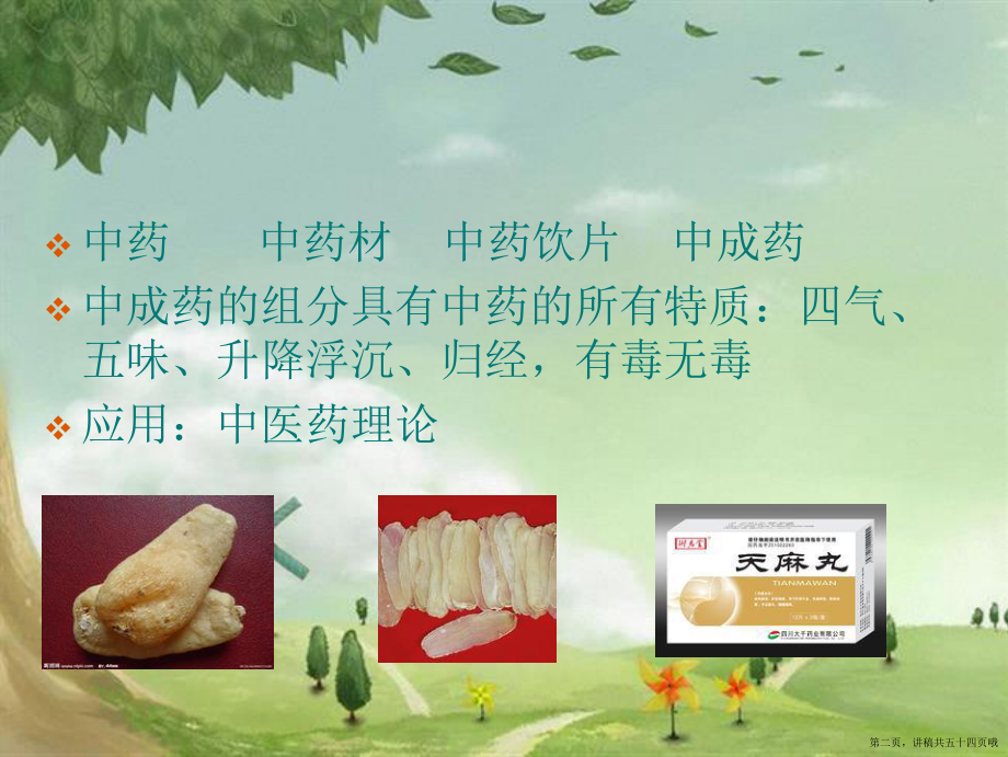 中成药应用讲稿.ppt_第2页