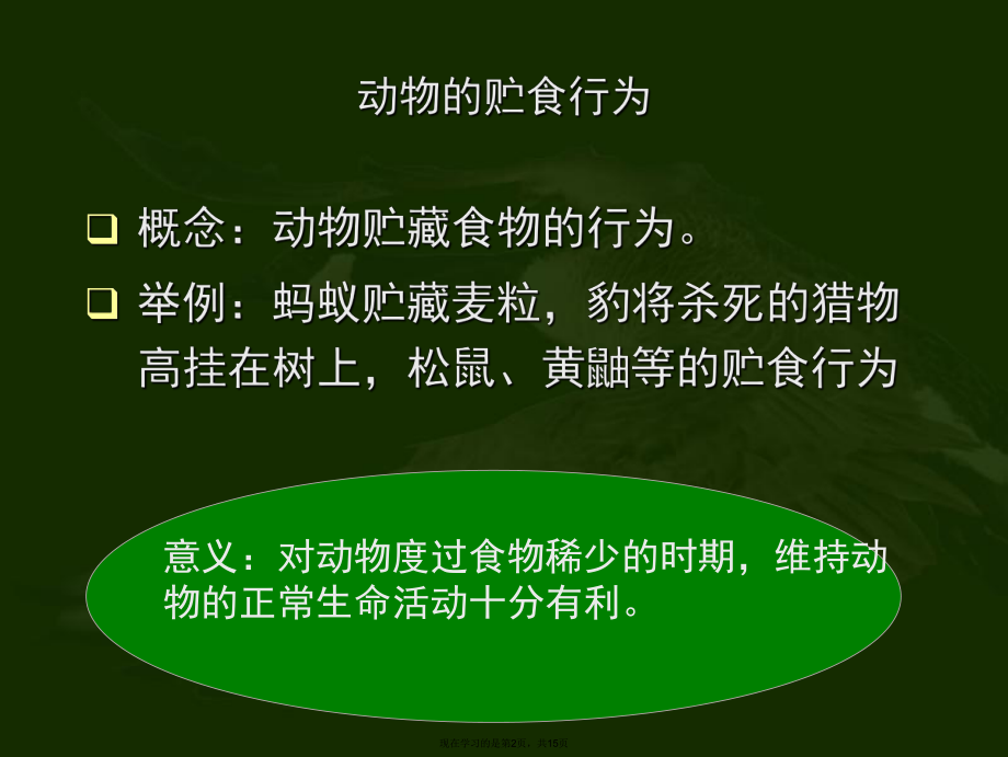 动物的贮食行为和繁殖行为.ppt_第2页