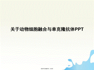 动物细胞融合与单克隆抗体ppt.ppt