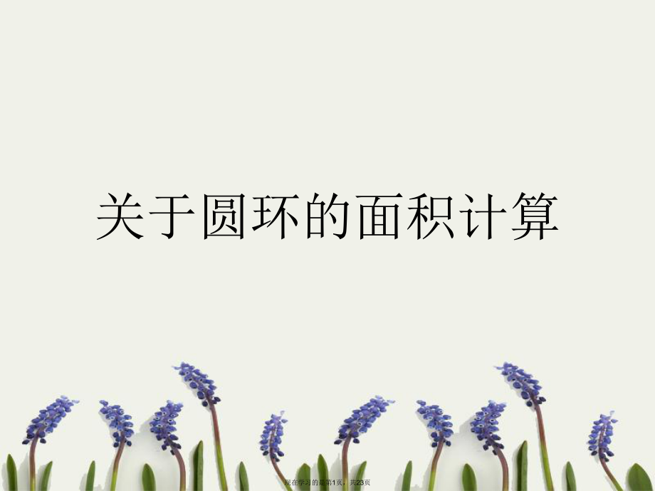 圆环的面积计算.ppt_第1页