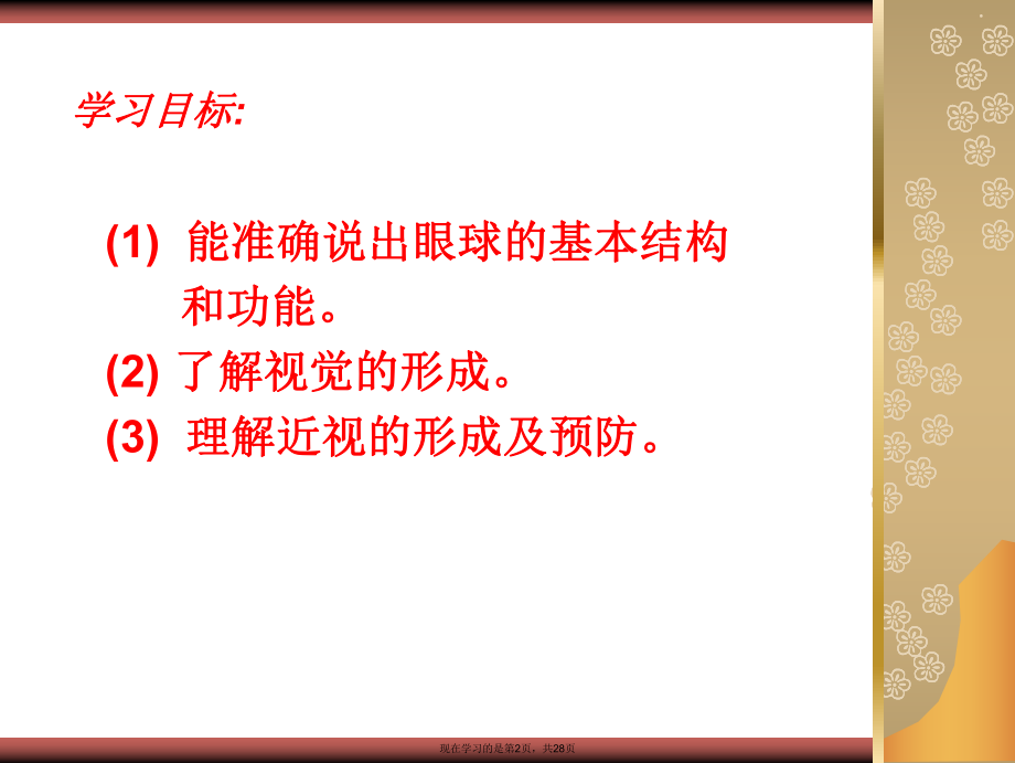 人体对外界环境的感知课件.ppt_第2页