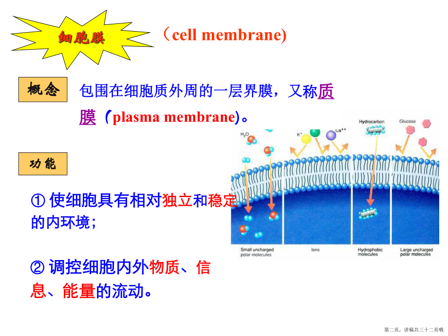 之细胞膜的分子结构和特性讲稿.ppt_第2页