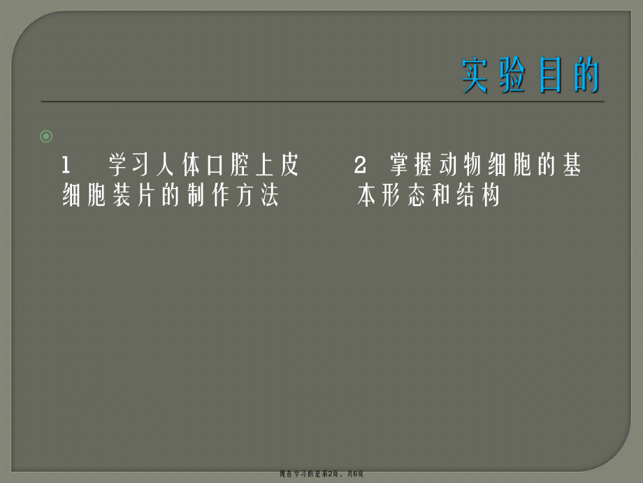 人体口腔上皮细胞的观察课件.ppt_第2页