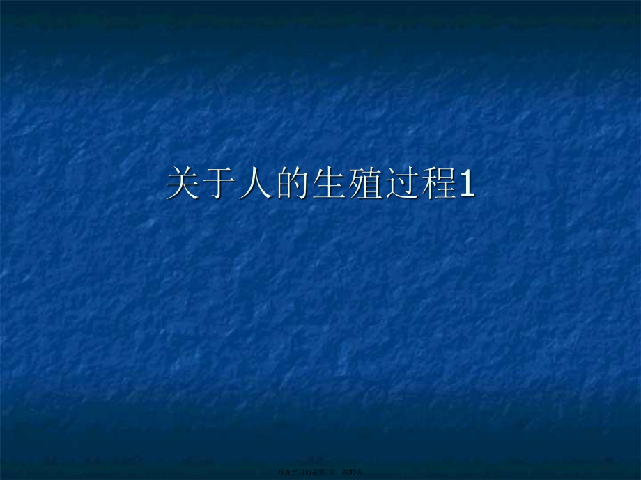 人的生殖过程1课件.ppt_第1页