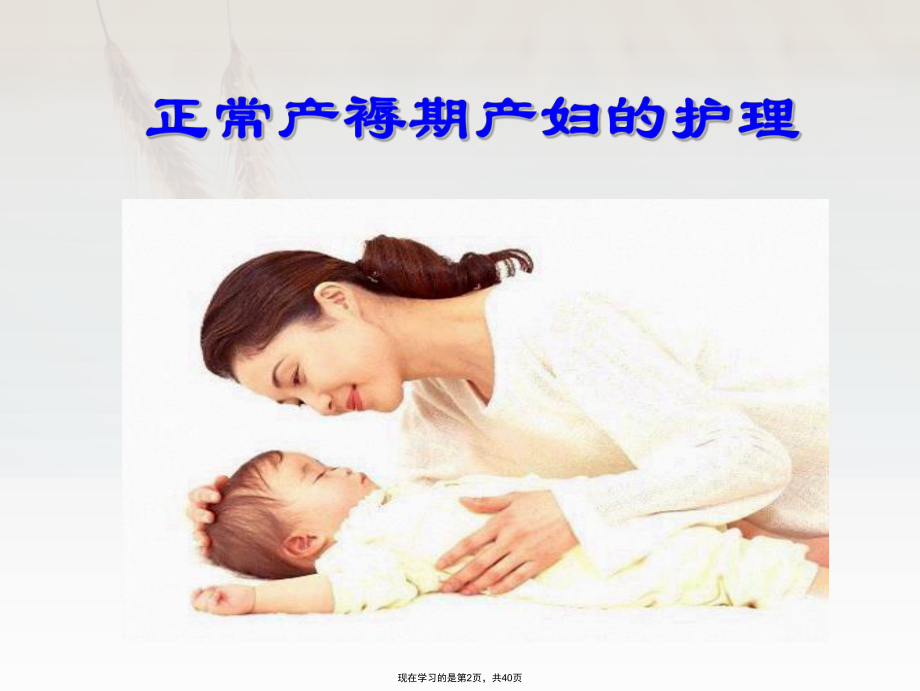 产褥期产妇的护理课件.ppt_第2页