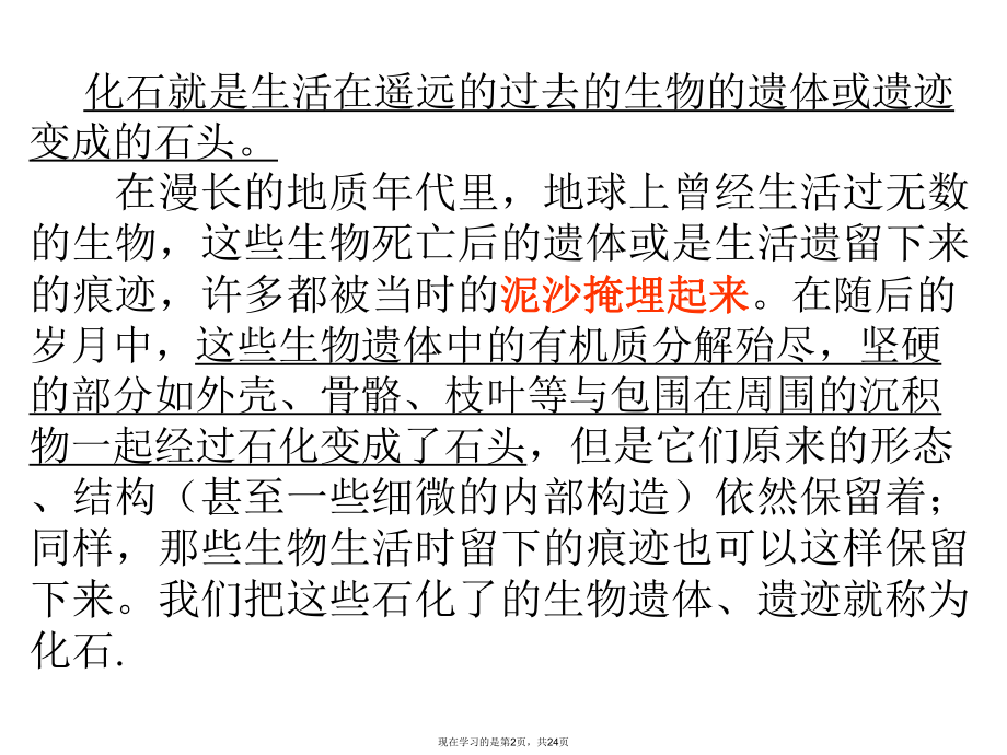 什么是化石课件.ppt_第2页