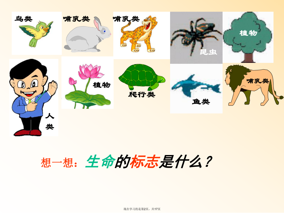 初中生物生物的新陈代谢.ppt_第2页