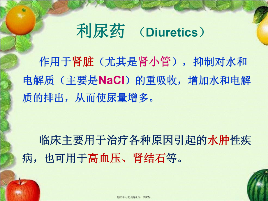 利尿药及脱水药优秀.ppt_第2页