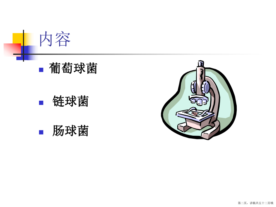 临床常见致病球菌讲稿.ppt_第2页