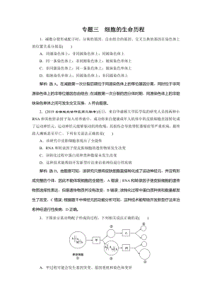 高考生物二轮复习专题三细胞的生命历程强化训练.doc