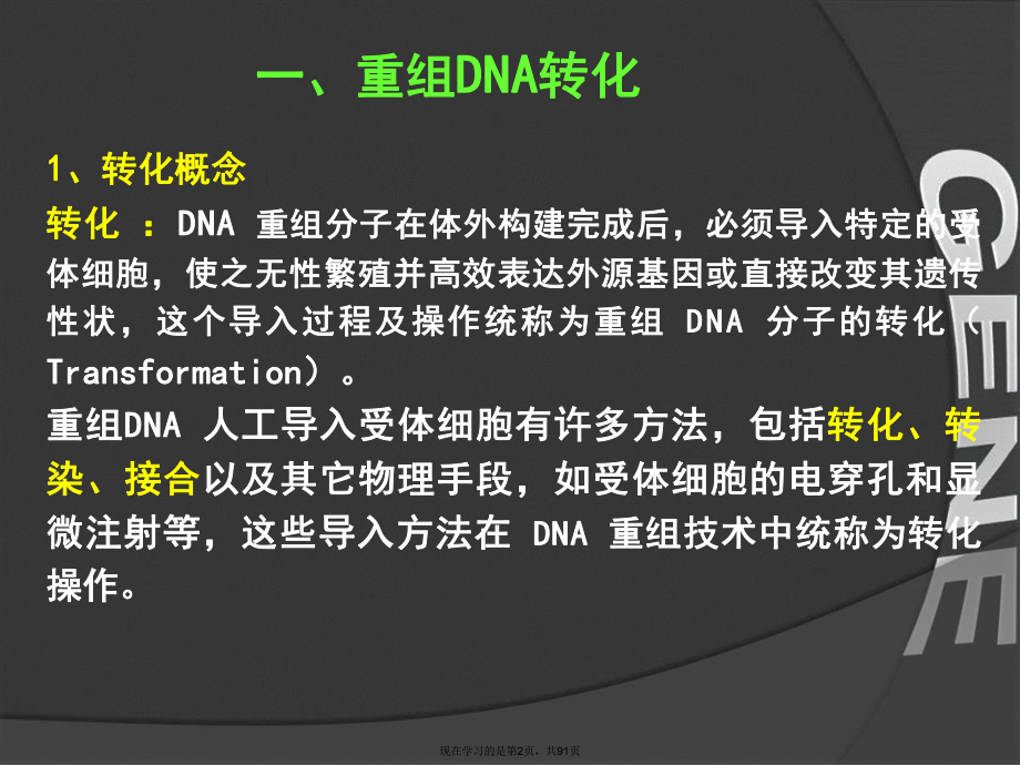 基因工程重组dna导入受体细胞.ppt_第2页