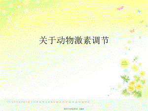 动物激素调节.ppt