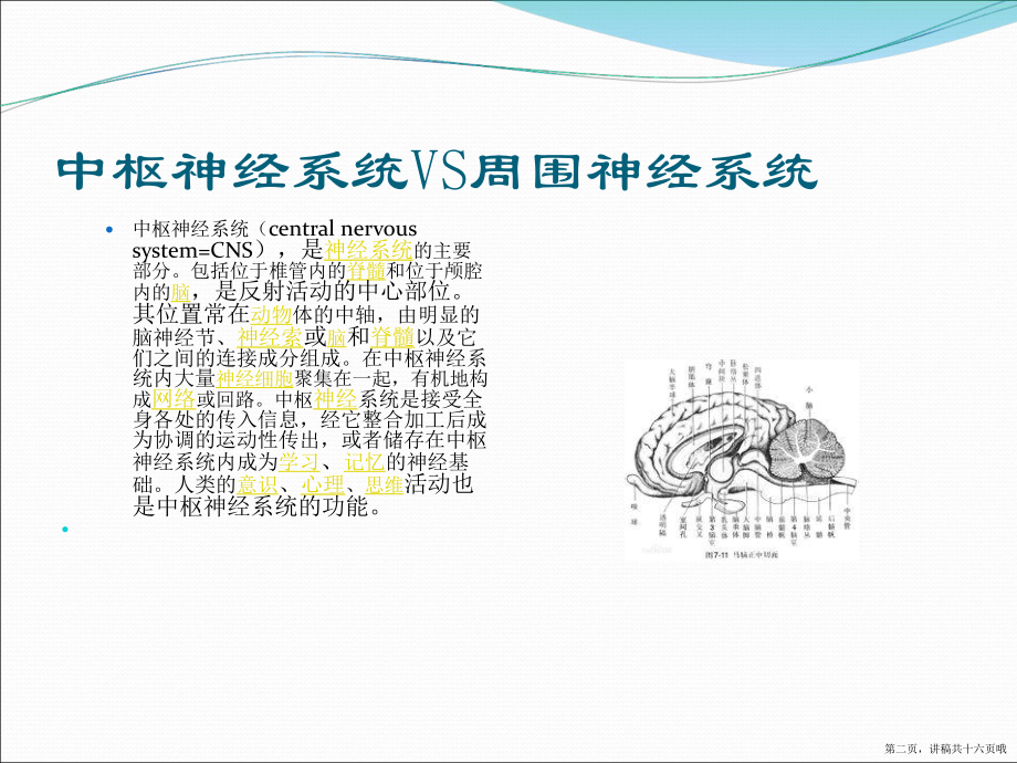 中枢性面瘫与周围性面瘫的区别讲稿.ppt_第2页