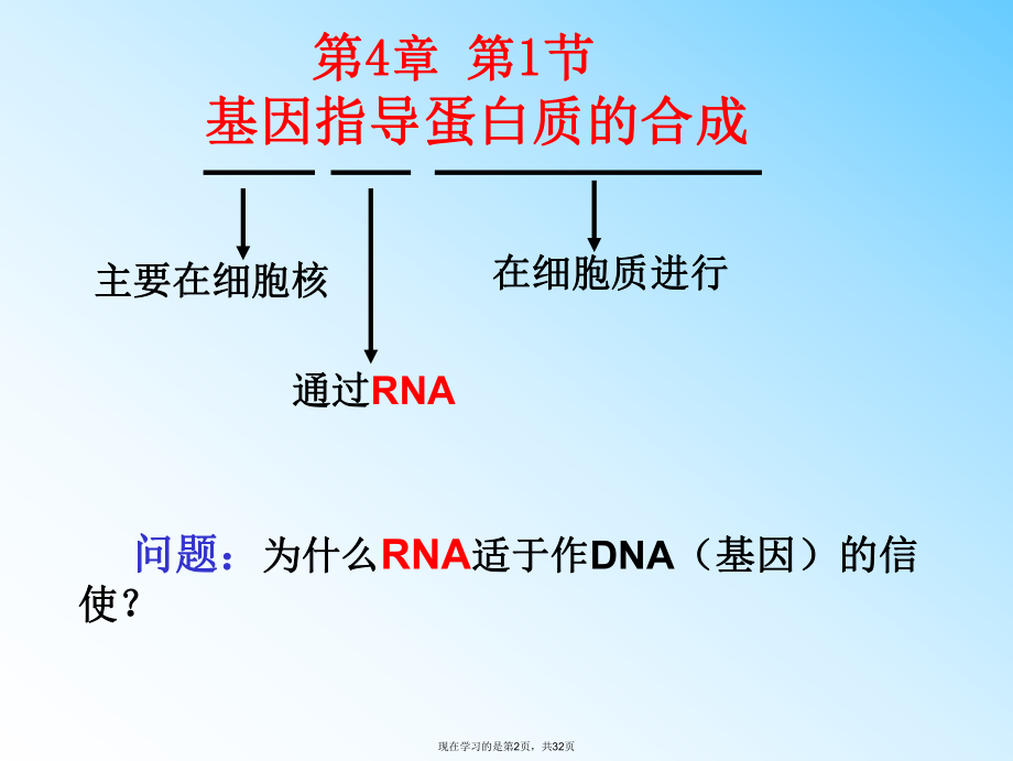 基因指导蛋白质合成的过程.ppt_第2页