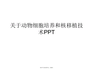 动物细胞培养和核移植技术ppt.ppt