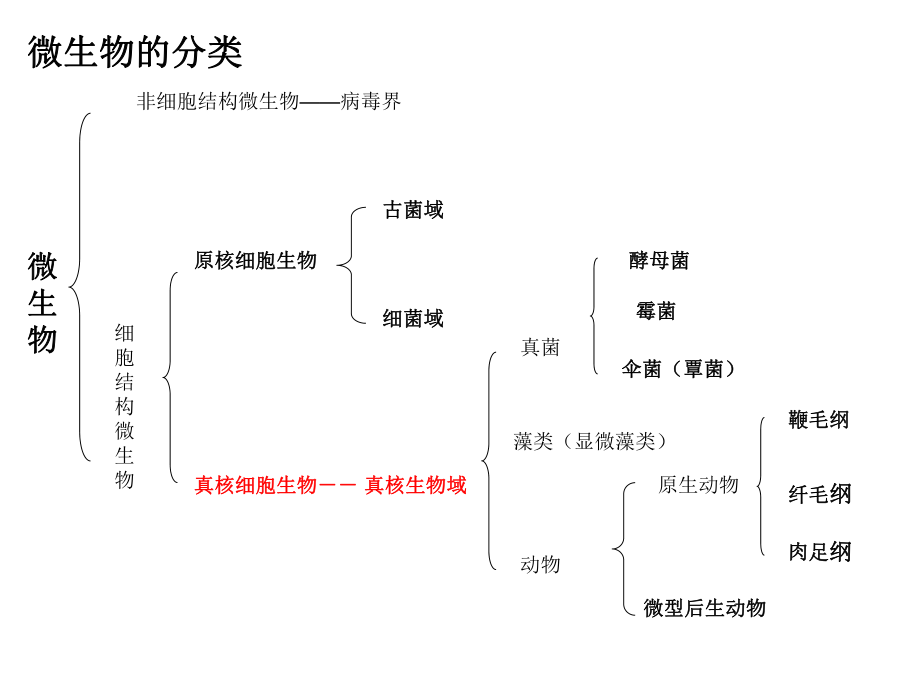 水处理生物学-第四章ppt课件.ppt_第1页