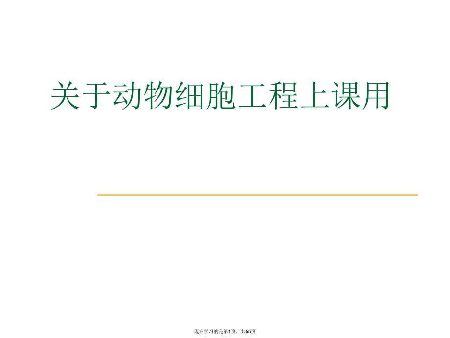 动物细胞工程上课用.ppt_第1页