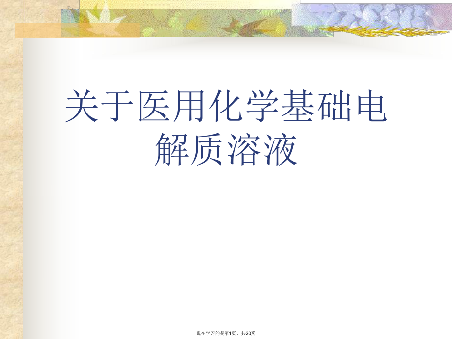 医用化学基础电解质溶液.ppt_第1页