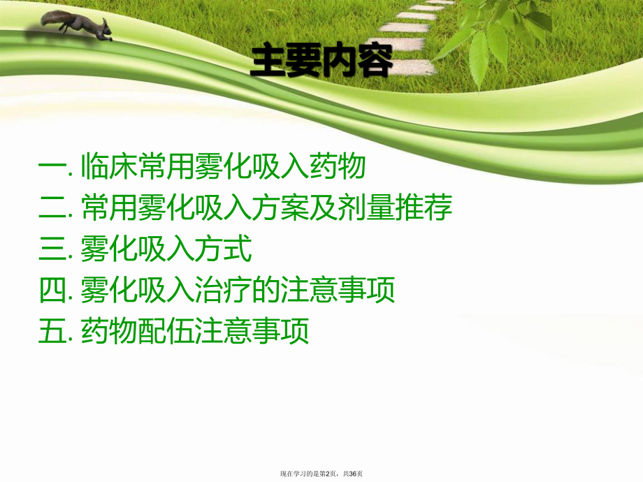 儿童呼吸道疾病常用雾化吸入治疗专家共识课件.ppt_第2页