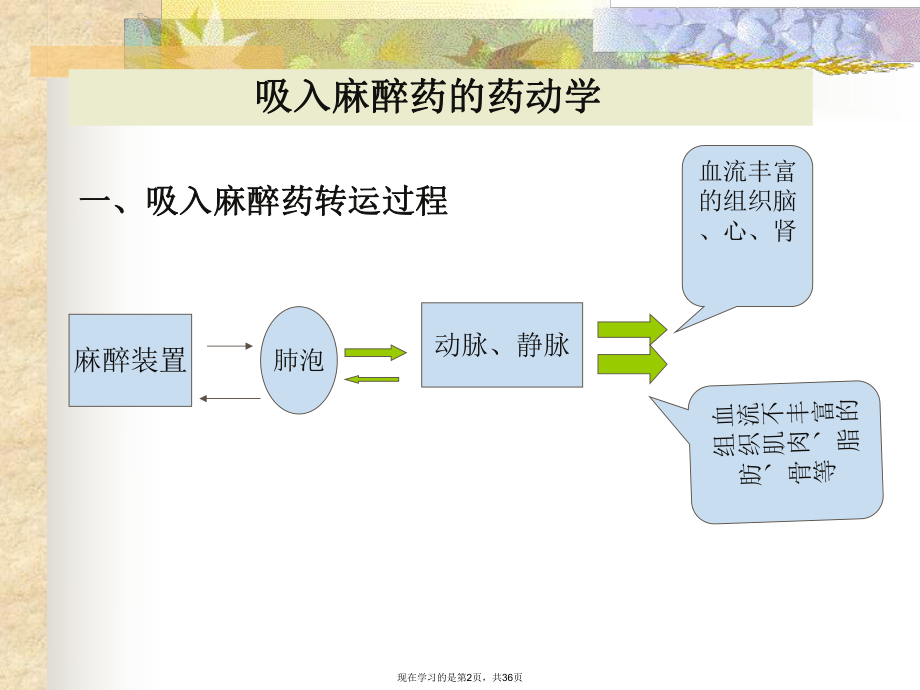 吸入麻醉药的药动学与药效学.ppt_第2页