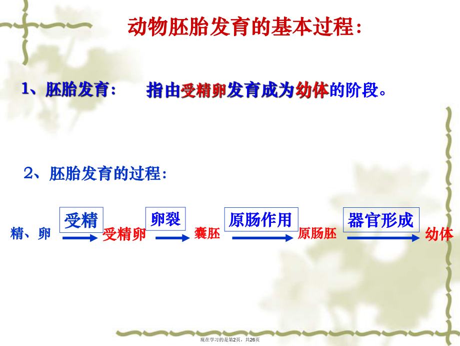 动物胚胎发育的基本过程 (2).ppt_第2页