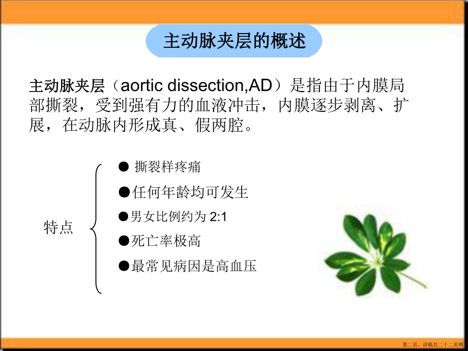 主动脉夹层的观察与护理讲稿.ppt_第2页