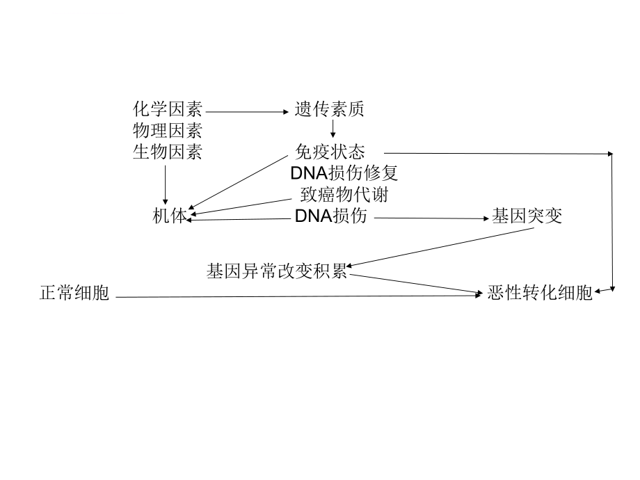 恶性肿瘤的发病机制ppt课件.ppt_第2页