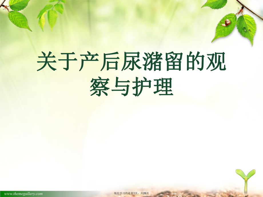 产后尿潴留的观察与护理课件.ppt_第1页