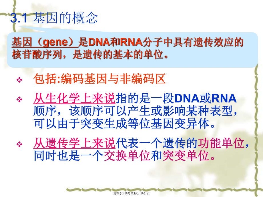 基因与基因组的结构与功能.ppt_第2页