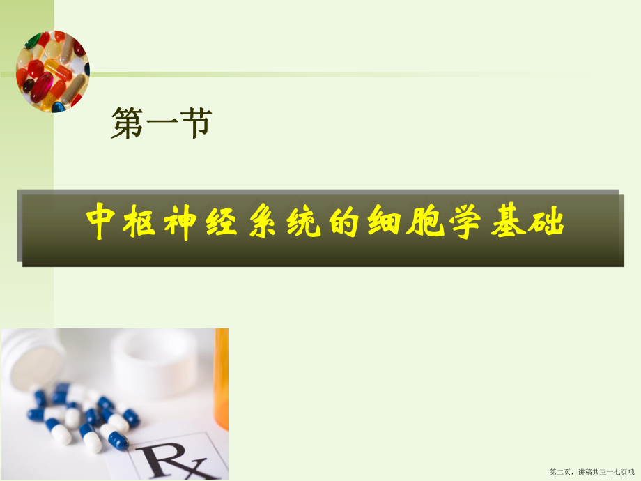 中枢神经系统药理学讲稿.ppt_第2页