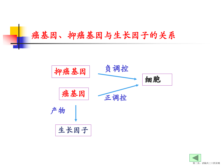 专题篇癌基因抑癌基因与生长因子讲稿.ppt_第2页