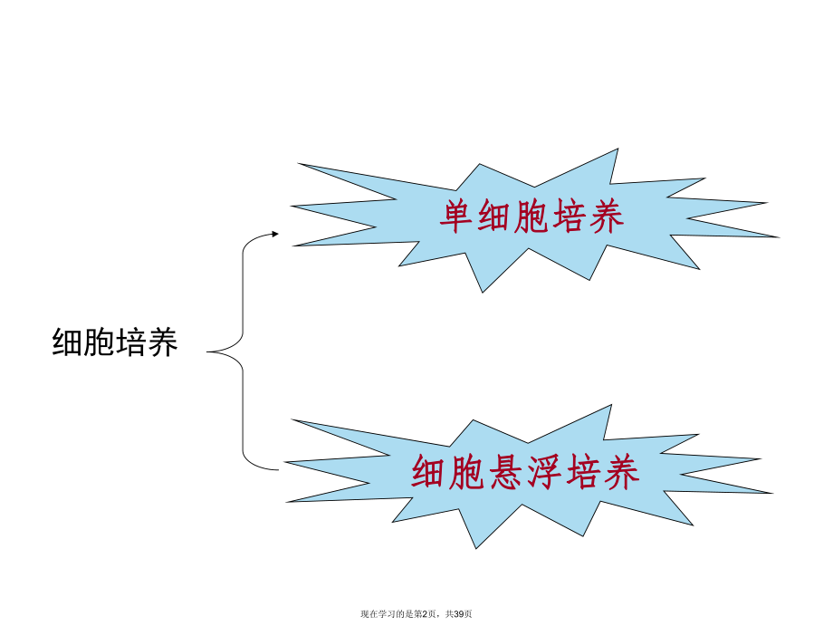 单细胞培养.ppt_第2页