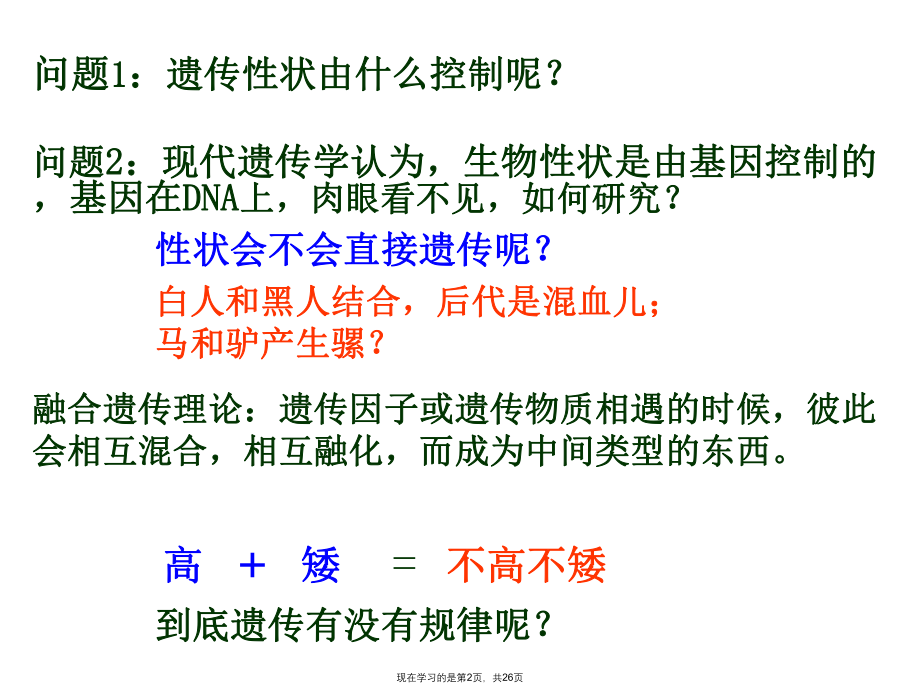 基因的分离定律ppt.ppt_第2页