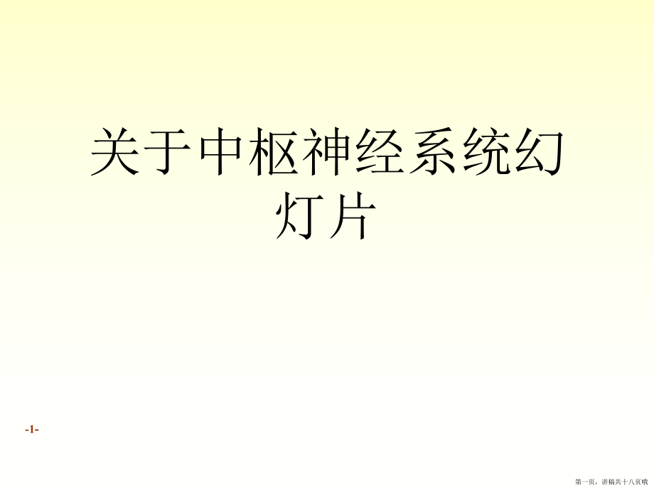 中枢神经系统幻灯片讲稿.ppt_第1页