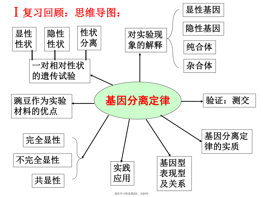 基因分离定律复习公开课.ppt_第2页