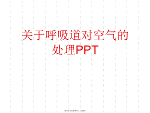 呼吸道对空气的处理ppt.ppt