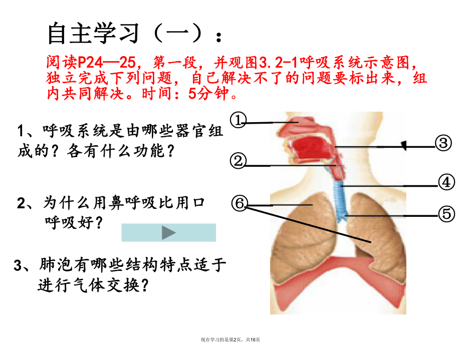 人体与外界的气体交换课件.ppt_第2页