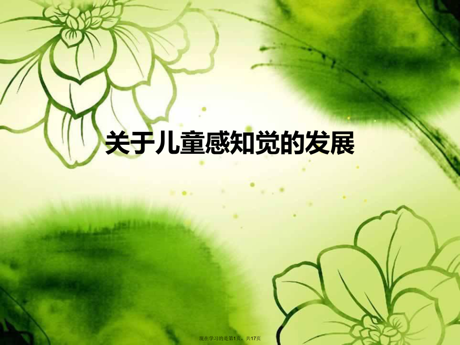 儿童感知觉的发展课件.ppt_第1页