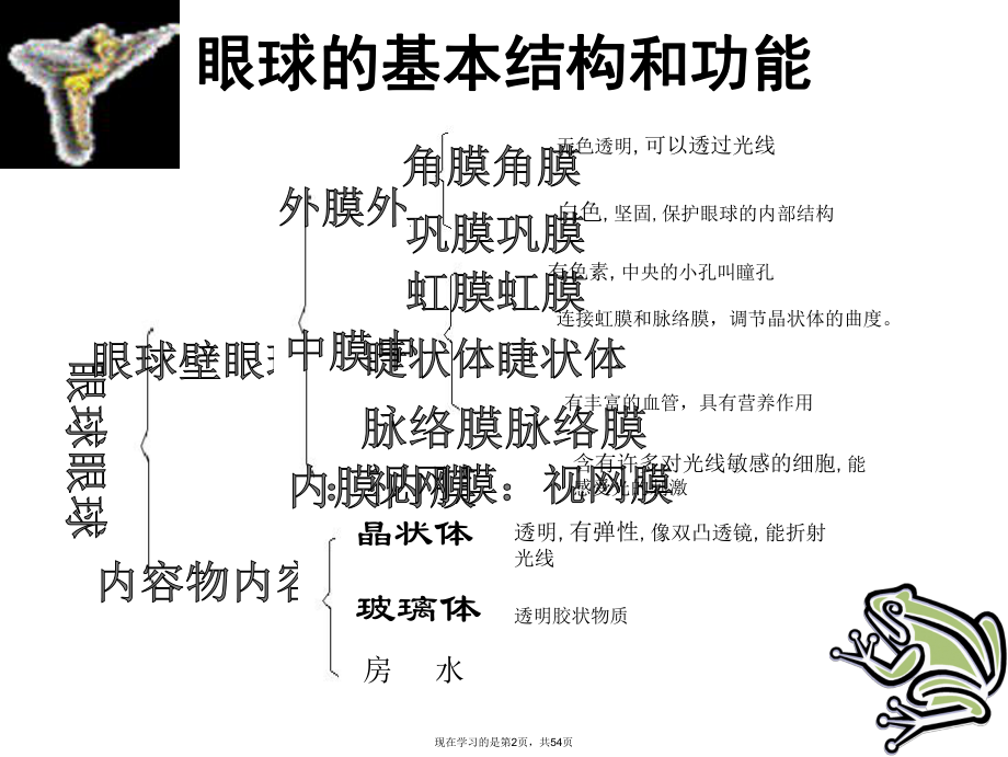 人体生命活动课件.ppt_第2页