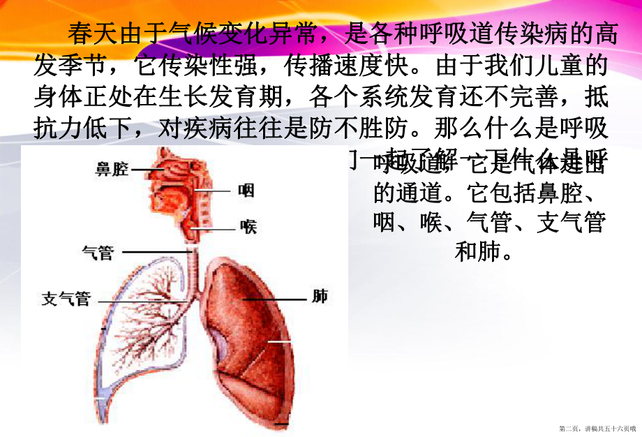 主题班会主题班会春季常见传染病预防知识讲稿.ppt_第2页