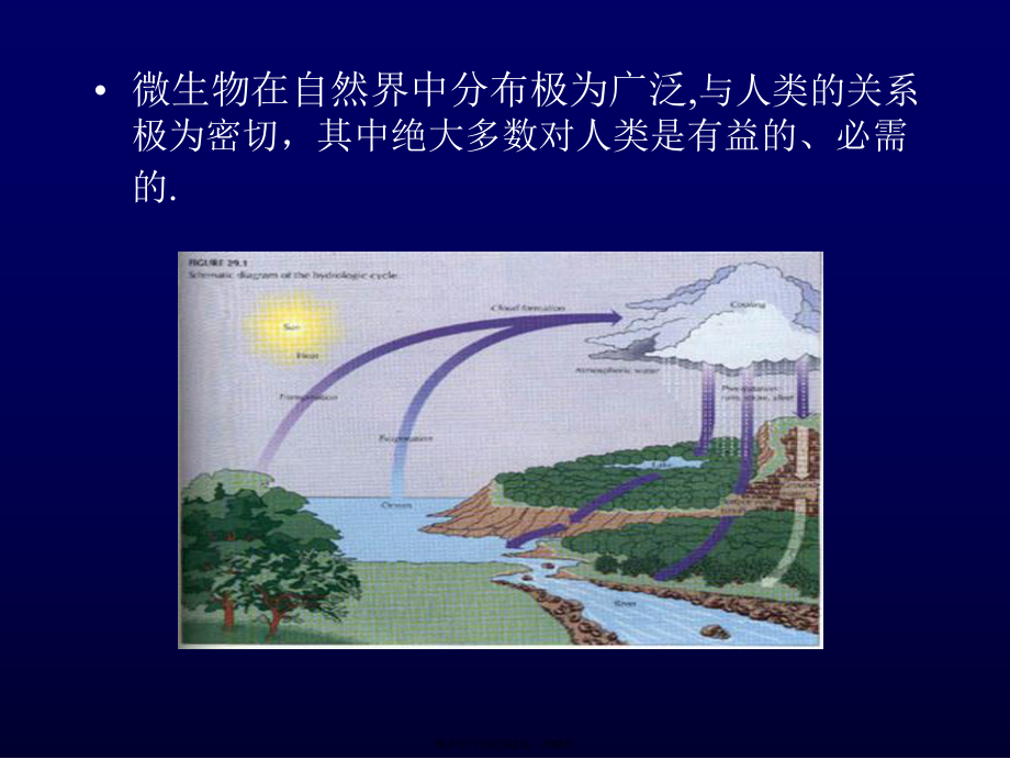 人体微生态平衡与健康课件.ppt_第2页