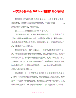 cad实训心得体会 2021cad制图实训心得体会.doc