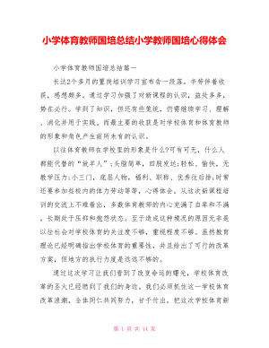 小学体育教师国培总结小学教师国培心得体会.doc