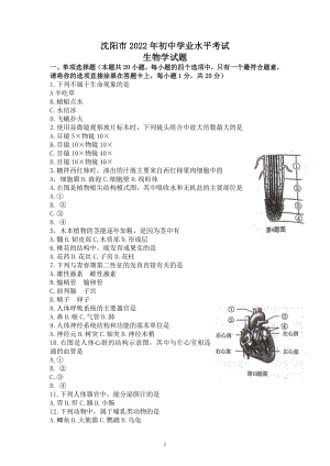 2022年辽宁省沈阳市中考生物试题.docx