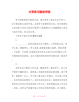 大学实习鉴定评语.doc