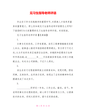 见习生指导老师评语.doc