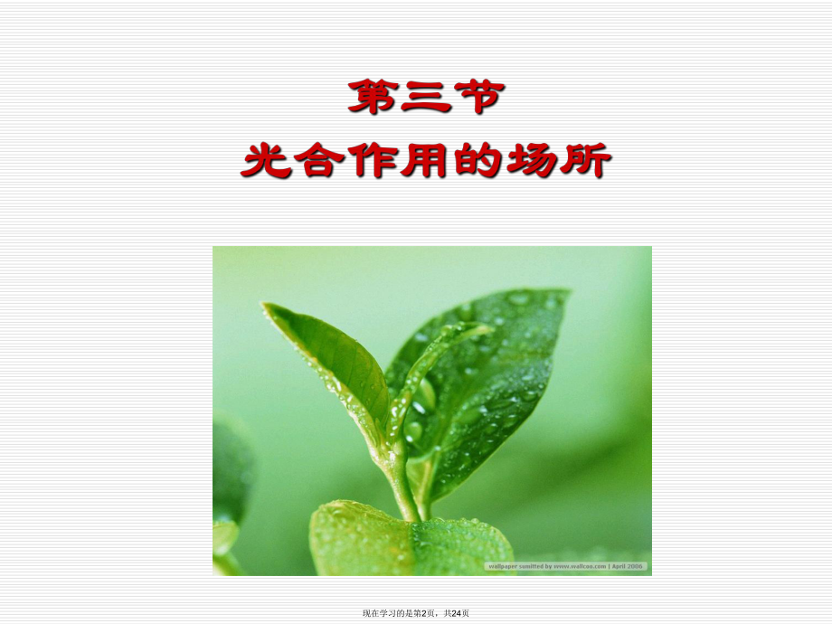 光合作用的场所课件.ppt_第2页