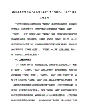 2022生态环境领域“互联网＋监管”暨“双随机、一公开”监管工作总结.docx