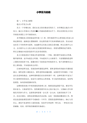 小学见习总结.pdf