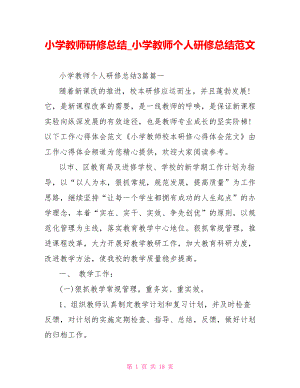 小学教师研修总结 小学教师个人研修总结范文.doc